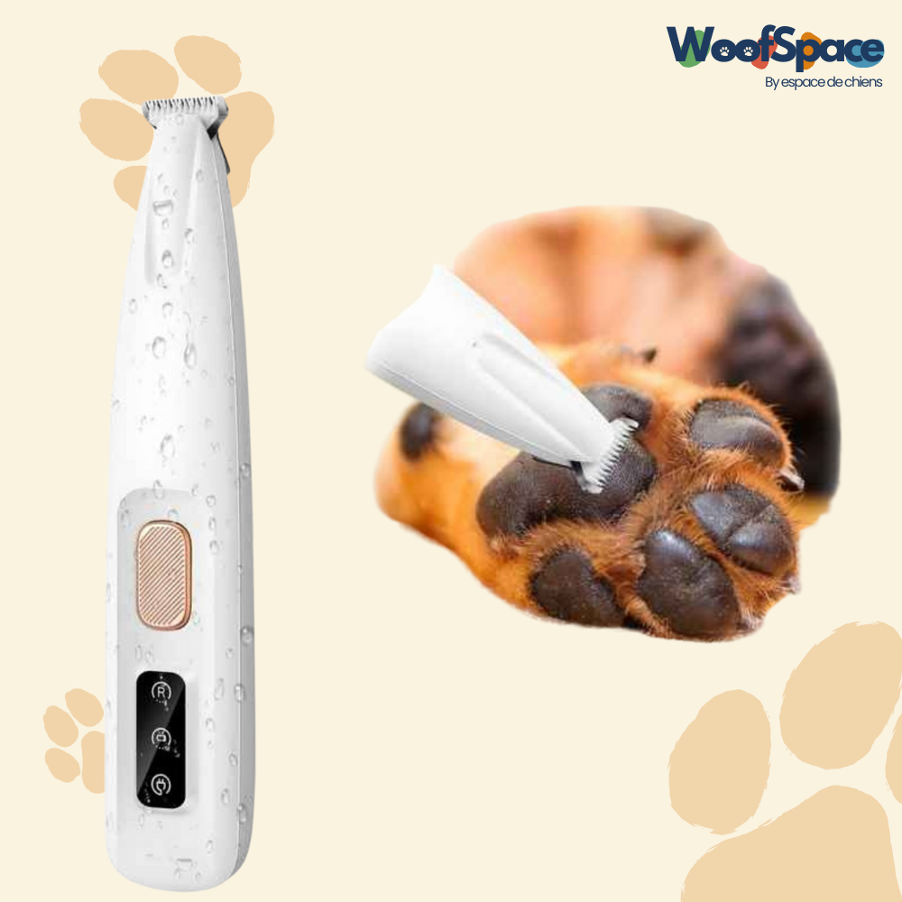 Tondeuse chien et chat - CleanPaws™