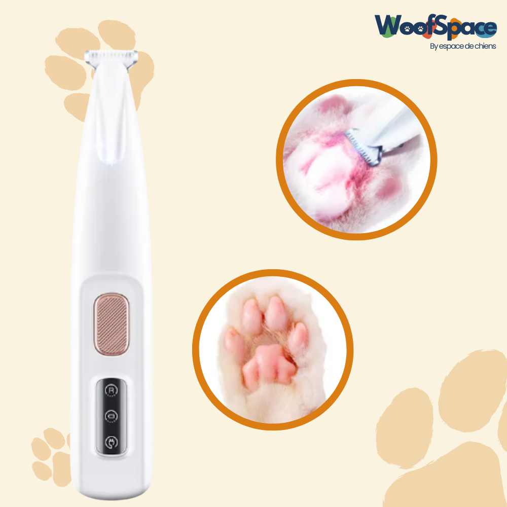 Tondeuse chien et chat - CleanPaws™