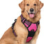 Harnais Anti Traction pour Chien - Heaven™️