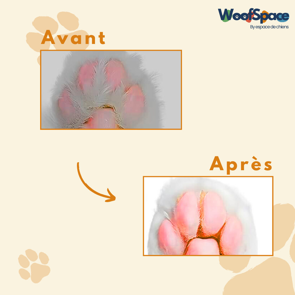 Tondeuse chien et chat - CleanPaws™