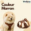Harnais Anti-traction « Rolla » pour Chiens