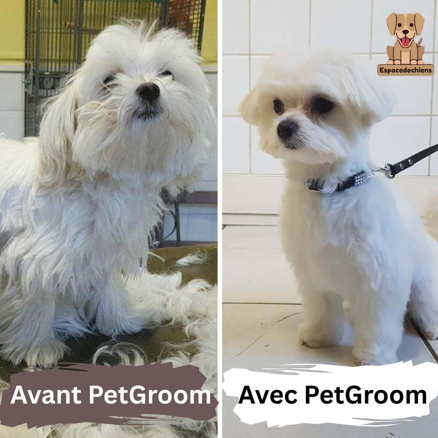 Kit de toilettage Intelligent 5 en 1 avec aspirateur - PetGroom™