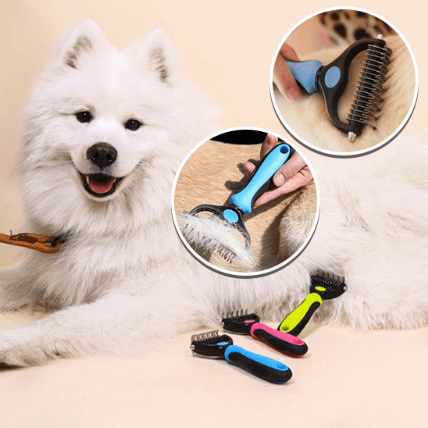 Brosse-chien