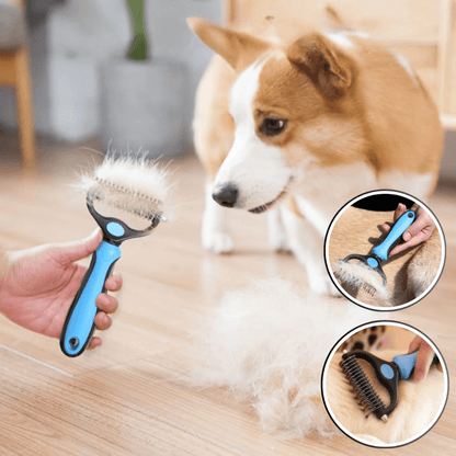 Brosse-pour-chien-Brushdog