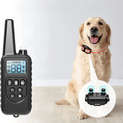 Collier anti aboiement - Espace de Chiens