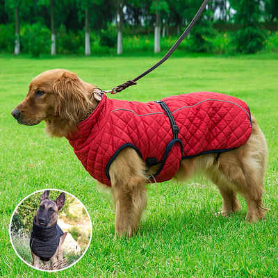 Manteau pour chien - Snow™️