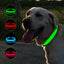 Collier Led lumineux pour chien-  Collarness