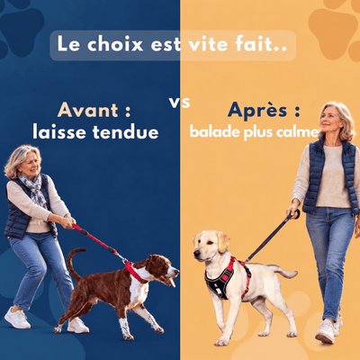 Harnais chien anti traction - JollyWalk™️