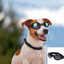 Lunettes de soleil pour chien - SunnyWalk™ - Espacedechiens.com