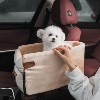 Panier-pour-chien