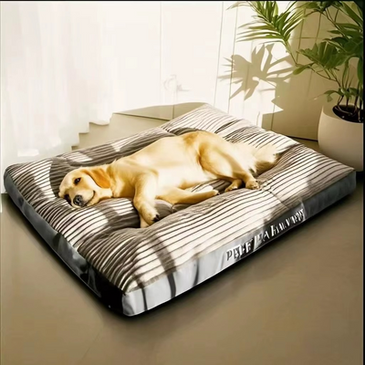 Lit Orthopédique pour Chien