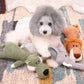 Peluche pour chien