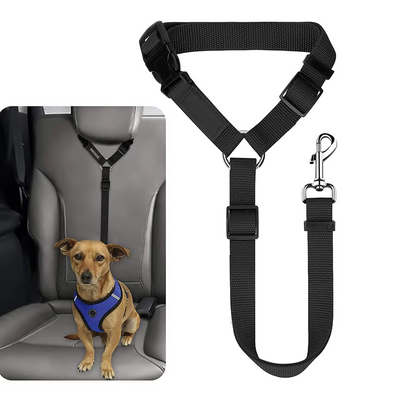 Ceinture de sécurité réglable pour Chiens