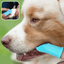 brosse-a-dent-chien-bleu