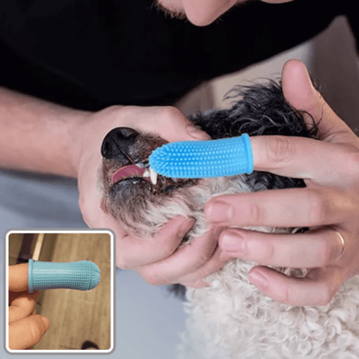 brosse-a-dent-chien-efficace