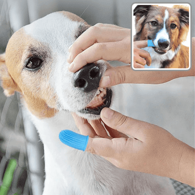 brosse-a-dent-chien-silicone