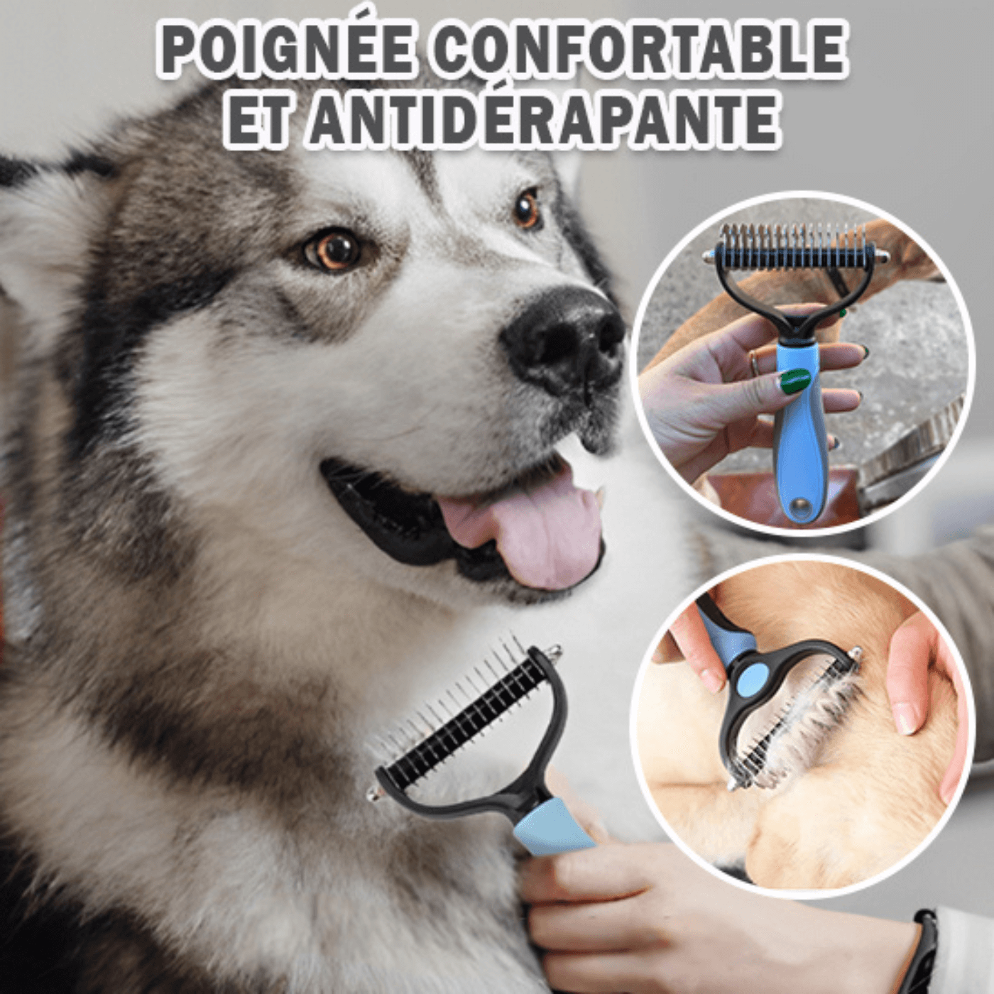 brosse-pour-chien-efficace