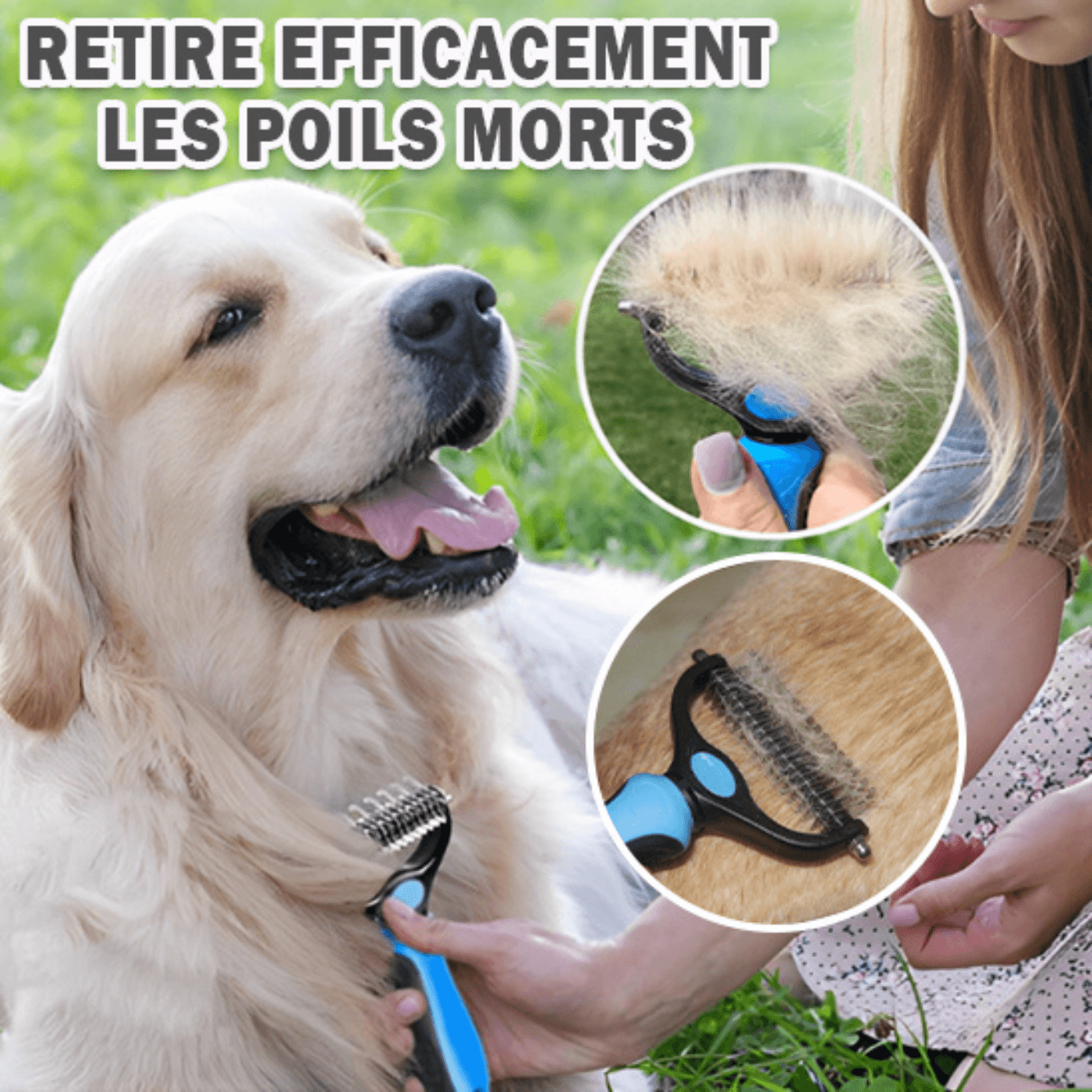 brosse-pour-chien-poil-long