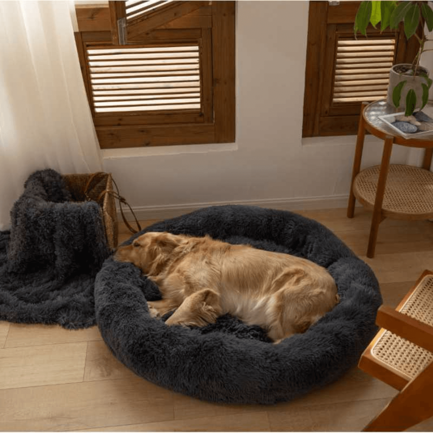 coussin-anti-stress-chien-gris