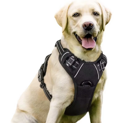 harnais-anti-traction-chien-noir