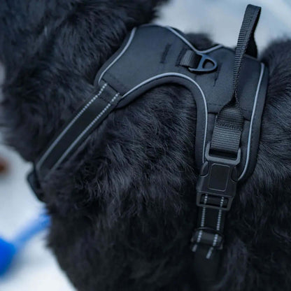 harnais-anti-traction-chien
