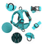 harnais-petit-chien-turquoise