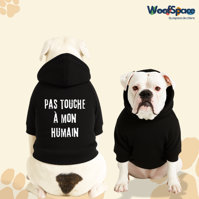 Sweat à capuche pour chien - Pas touche à mon humain