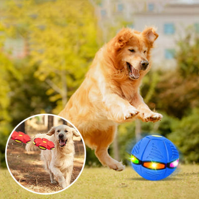 Jouet transformeur pour chien - Uranus™