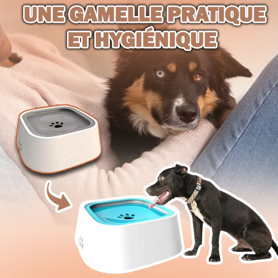 Bol pour chien - WaterBowl™