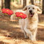 Jouet transformeur pour chien - Uranus™