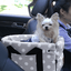 panier-pour-chien-confortable