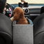 panier-pour-chien-durable