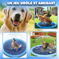 piscine-pour-chien-gifi