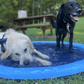 piscine-pour-chien-xxl