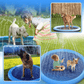 rampe-piscine-pour-chien