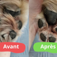 Tondeuse chien et chat - CleanPaws™