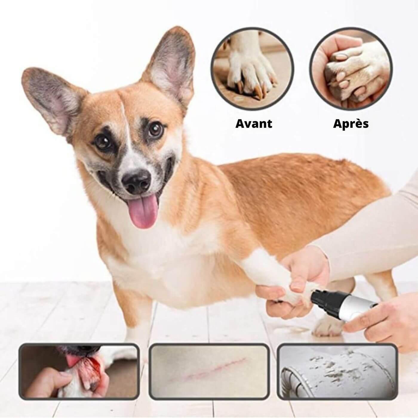 Coupe-ongle-pour-chien