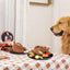 Jouet-en-peluche-interactif