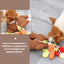 Reniflage-chien-jeu