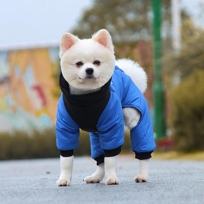 Manteau-pour-petit-chien-bleu