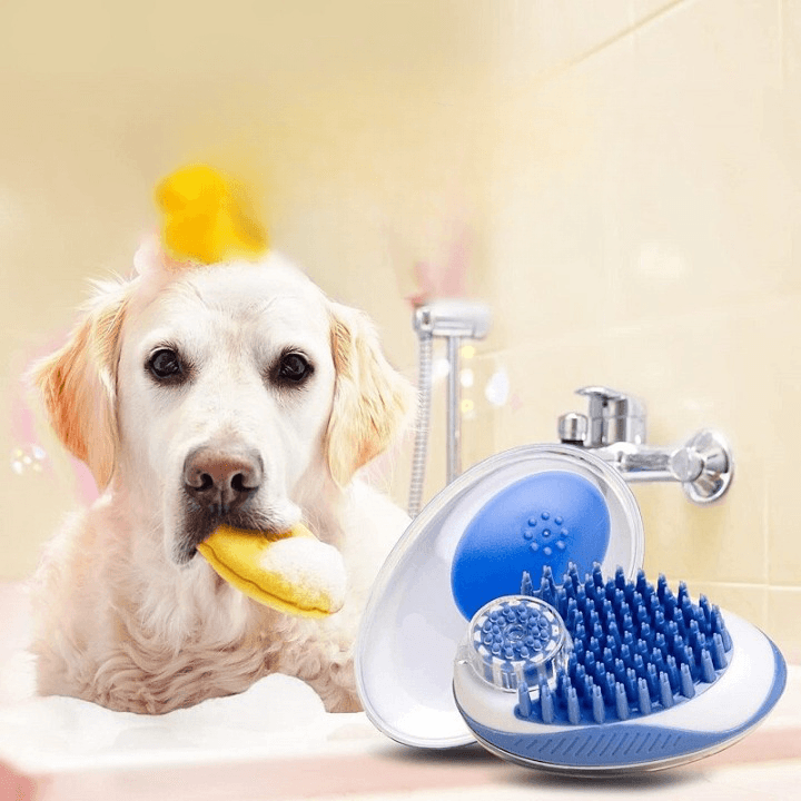 brosse-chien-ergonomique