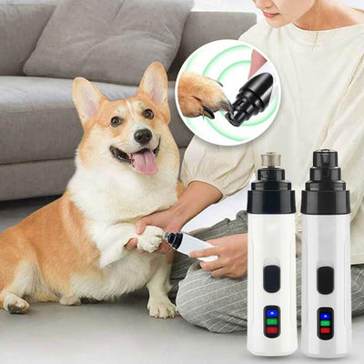 coupe-ongle-pour-chien