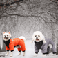 manteau-petit-chien-style